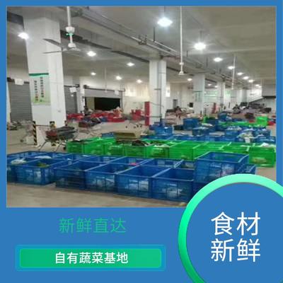 從田間到餐桌 東莞蔬菜種植與配送服務的發展與融合